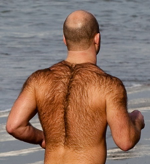 bald-man-hairy-back