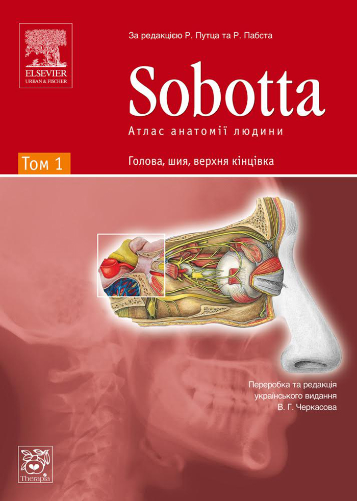 «Атлас анатомії людини» Йоганнеса Соботти