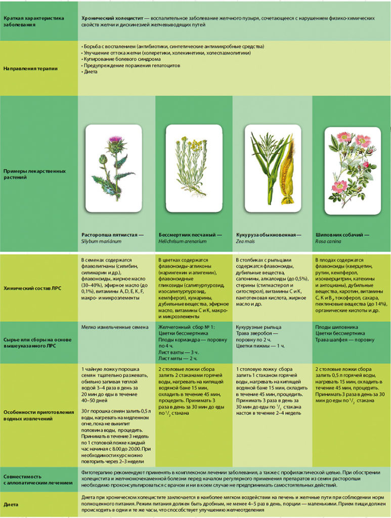 Лекарственные травы, рекомендуемые при хроническом холецистит