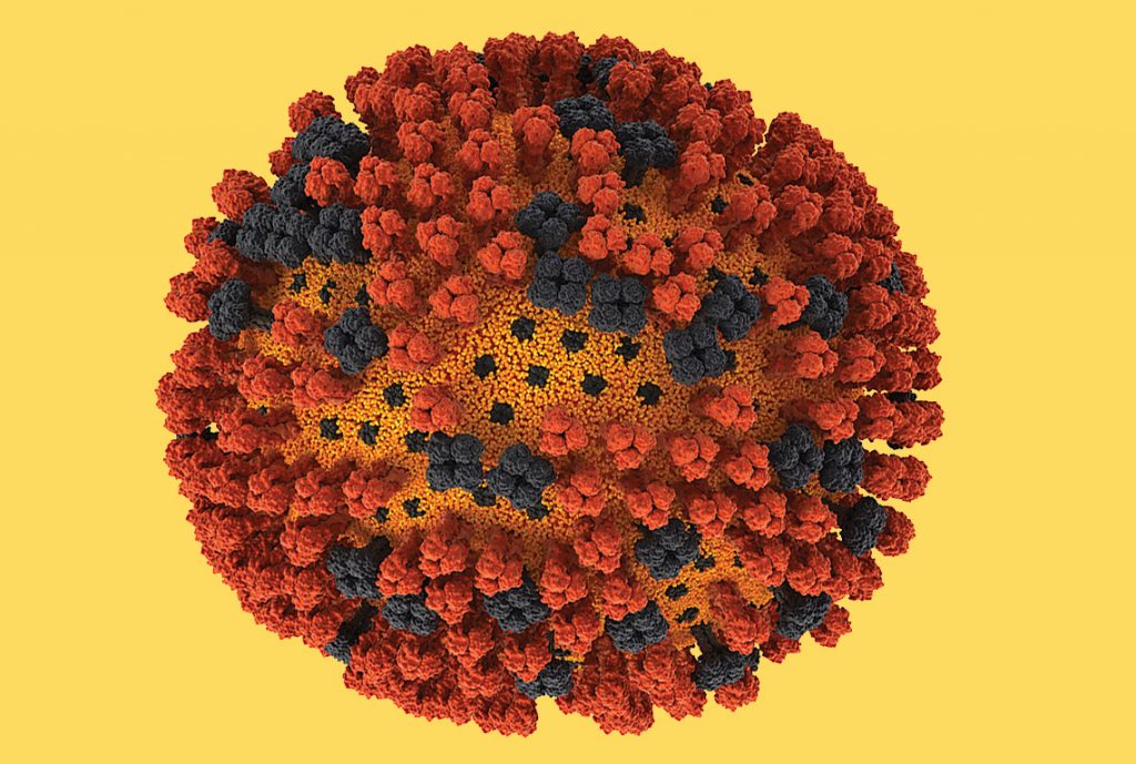 Вирус парагриппа фото